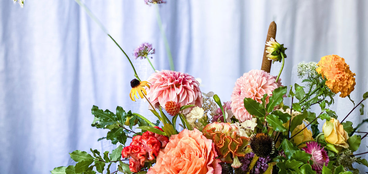 Daily Flower Menu – Stonefruit Botanical
