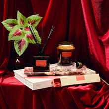 Load image into Gallery viewer, Plush Vetiver– HI-FI Incense Sticks