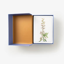 Load image into Gallery viewer, New York Botanical Garden Wildflower ID Flashcards