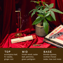 Load image into Gallery viewer, Blonde Hinoki– HI-FI Incense Sticks