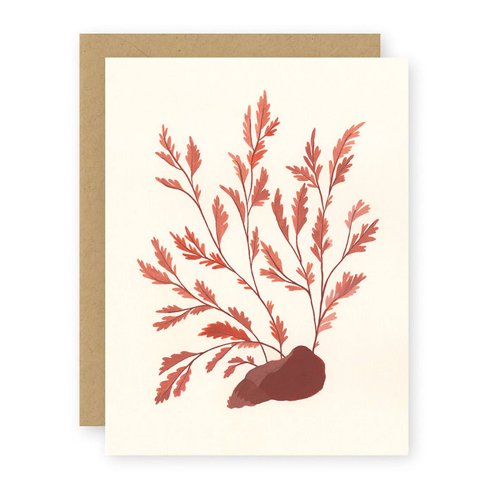 Seaweed Greeting Card: Single Card