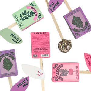 Mint To Be 💚  Garden + Gift Seed Planting Pop