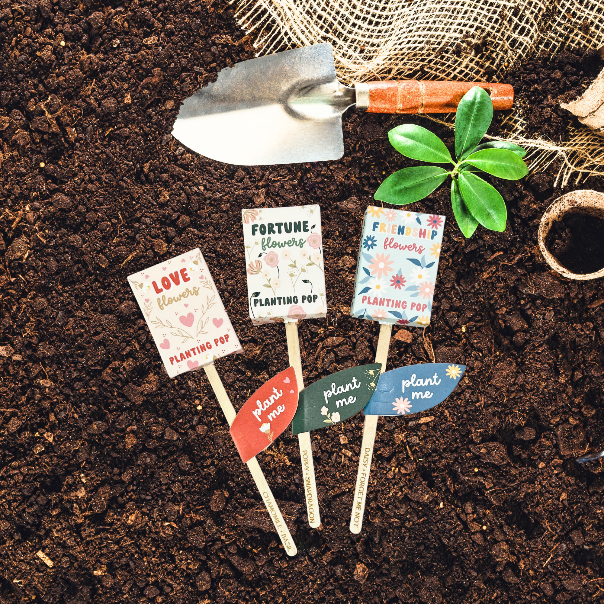 seed planting stick Fortune Flowers Garden + Gift Seed Planting Pop – Stonefruit Botanical