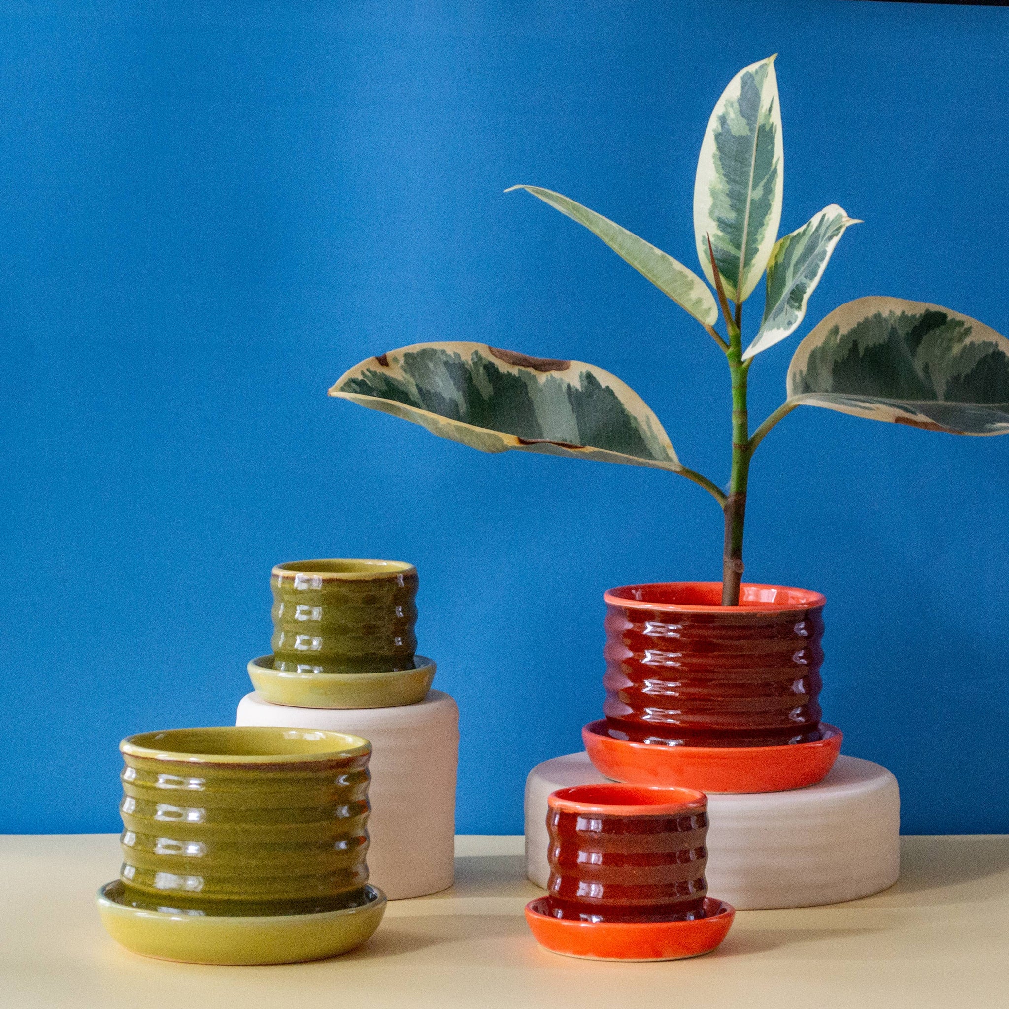 plate for potted plants Ceramic Ripple Pot Planter with Drip Plate