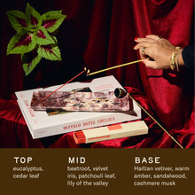 Load image into Gallery viewer, Plush Vetiver– HI-FI Incense Sticks