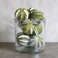 Load image into Gallery viewer, Dried Fruit - Whole Slit Lime: Bag of 10 - Green
