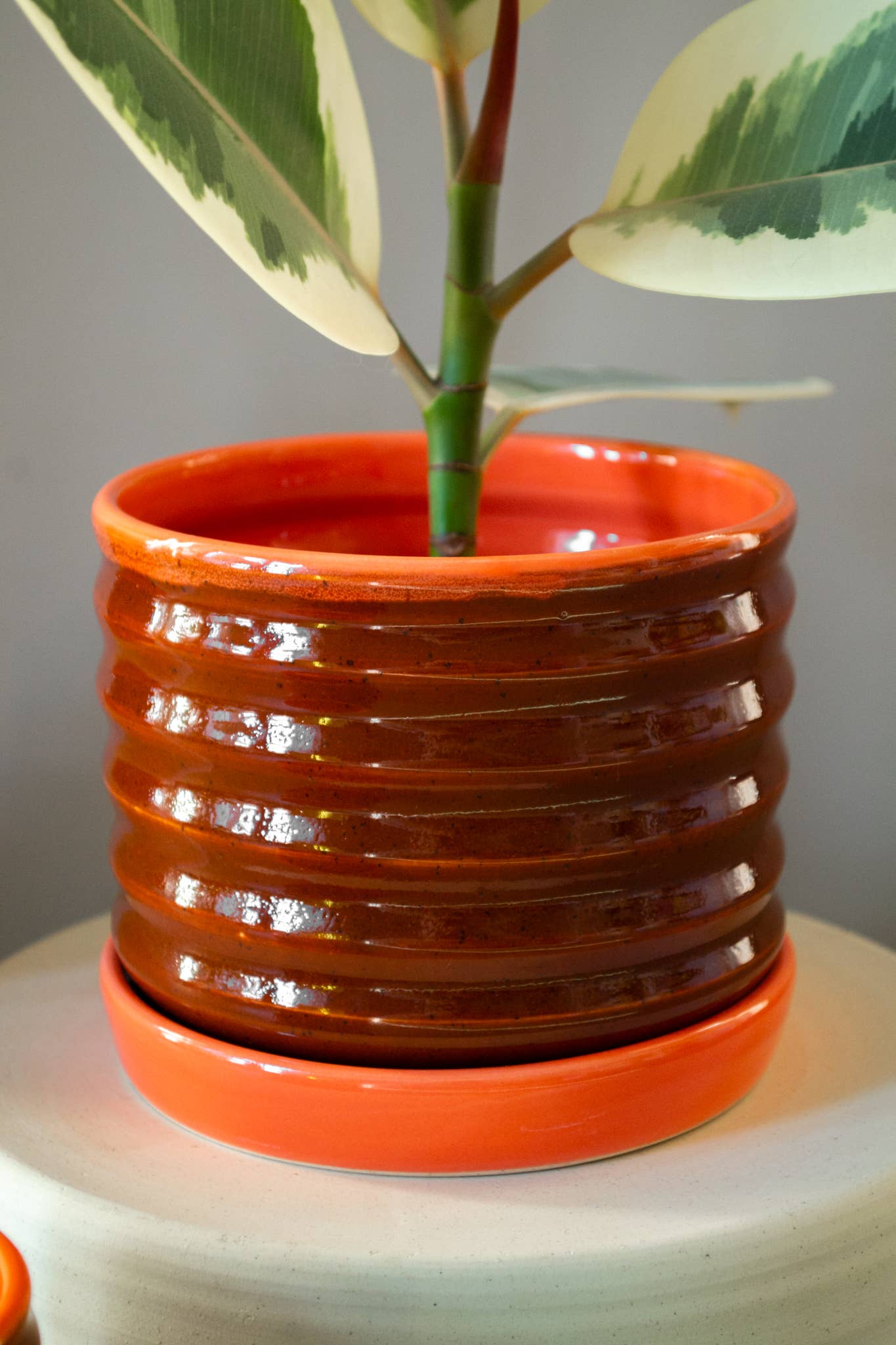 ceramic plates for plant pots Ceramic Ripple Pot Planter with Drip Plate
