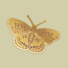 Load image into Gallery viewer, Enamel Pin: Checkerspot