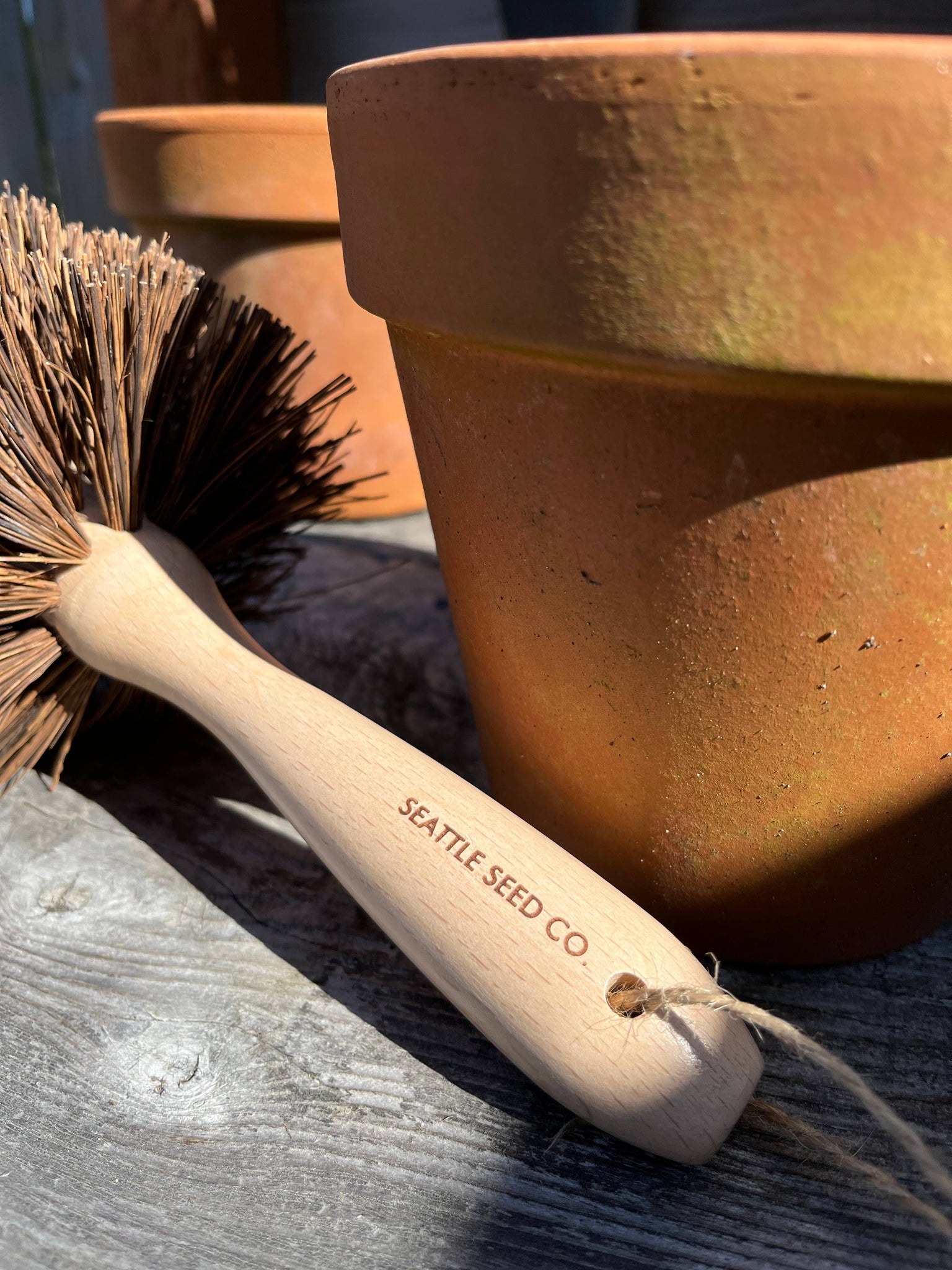 plant pot brush Plant Pot Cleaning Brush – Stonefruit Botanical