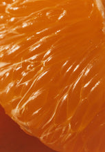 Load image into Gallery viewer, Ruby Valencia &amp; Apricot Fruit Spread: 4.5oz Marmalade Jar