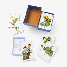 Load image into Gallery viewer, New York Botanical Garden Wildflower ID Flashcards