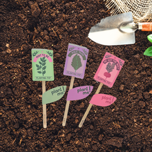 Load image into Gallery viewer, Mint To Be 💚  Garden + Gift Seed Planting Pop