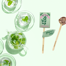 Load image into Gallery viewer, Mint To Be 💚  Garden + Gift Seed Planting Pop