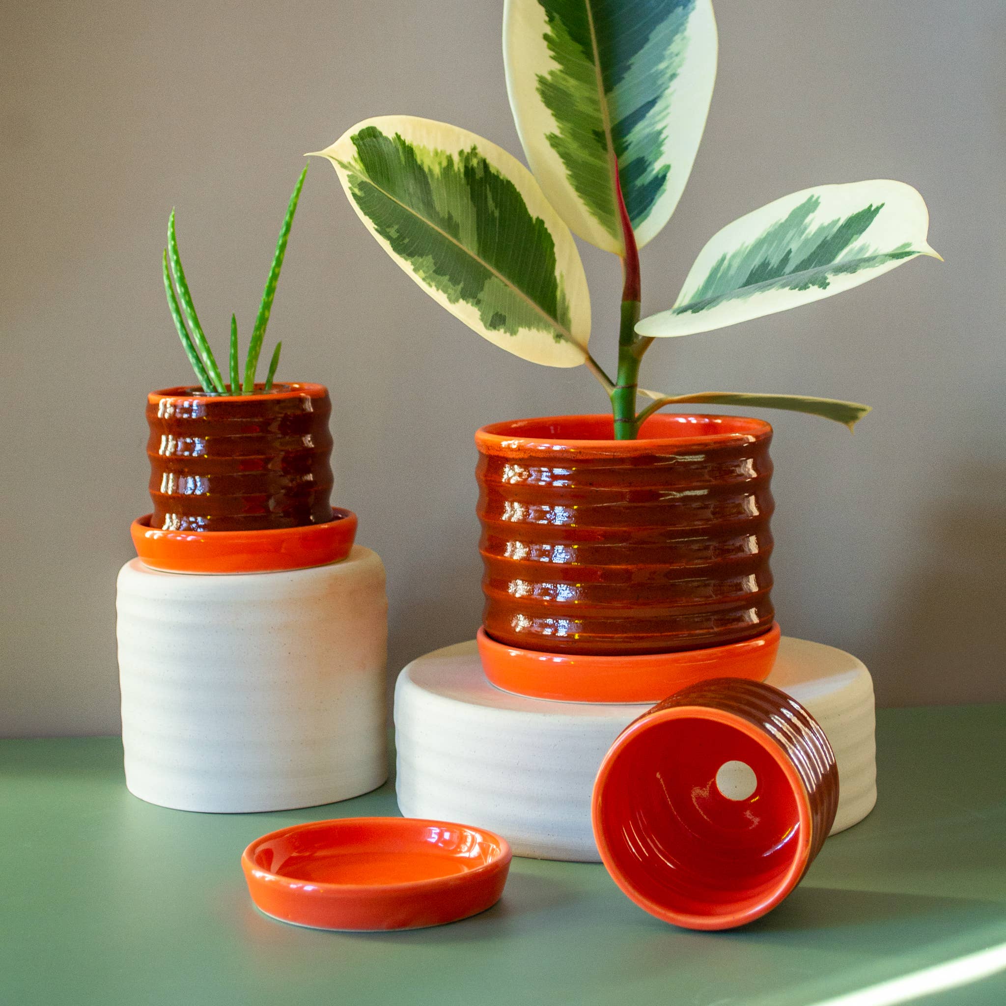 ceramic plates for plant pots Ceramic Ripple Pot Planter with Drip Plate