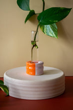 Load image into Gallery viewer, Propagation Stand with Test Tube: Orange / Lavender