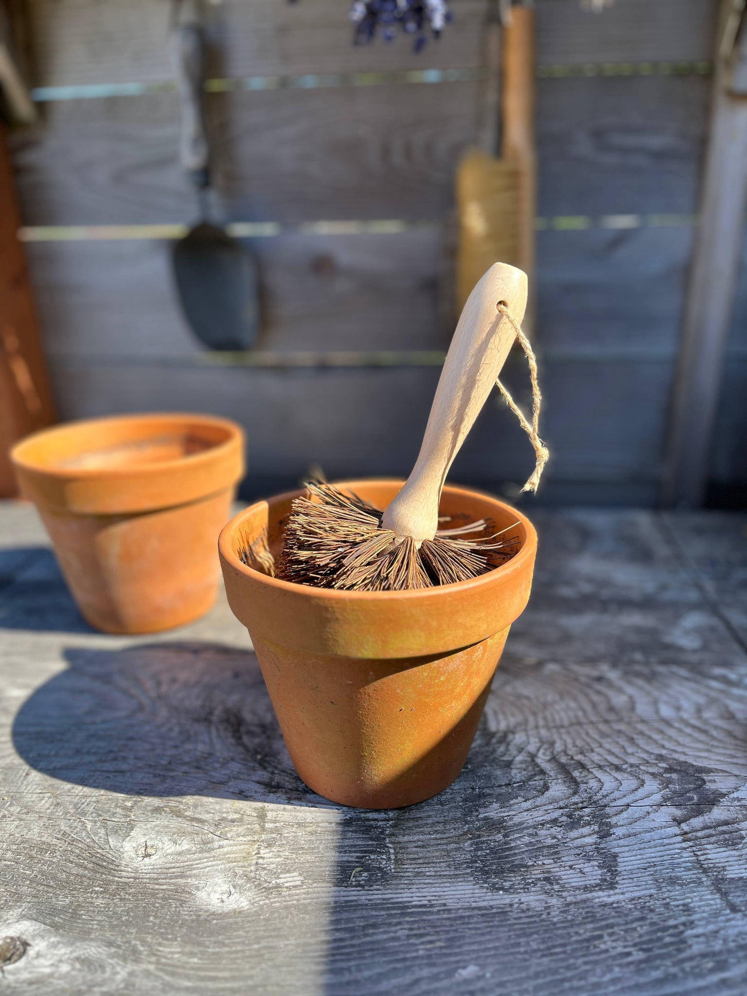 plant pot cleaning brush Plant Pot Cleaning Brush – Stonefruit Botanical