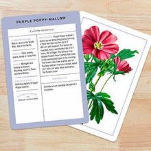 Load image into Gallery viewer, New York Botanical Garden Wildflower ID Flashcards