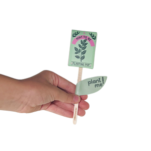 Mint To Be 💚  Garden + Gift Seed Planting Pop