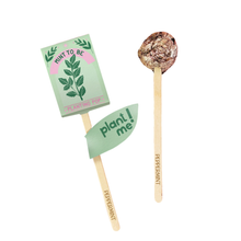 Load image into Gallery viewer, Mint To Be 💚  Garden + Gift Seed Planting Pop