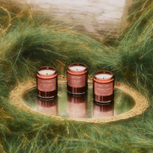 Load image into Gallery viewer, Cathedral Clove– Standard Candle