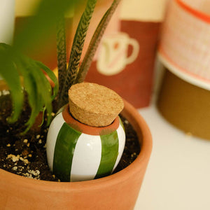 Olla -  Green and ivory stripes